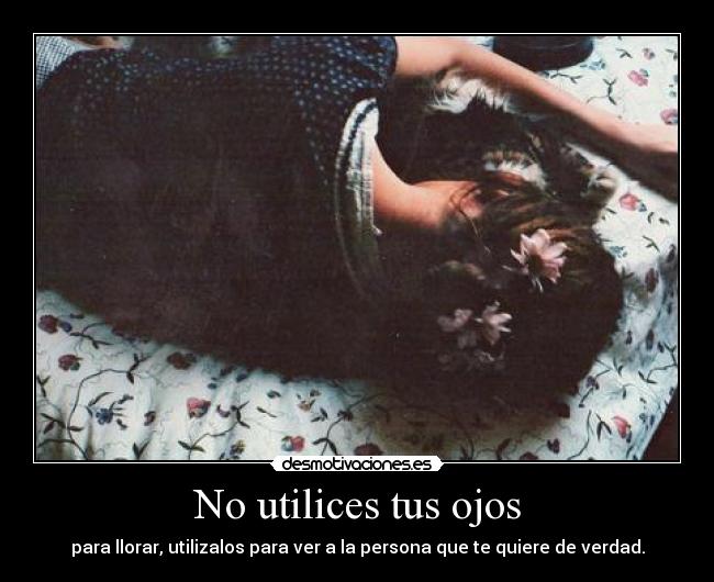 carteles cola desmotivaciones