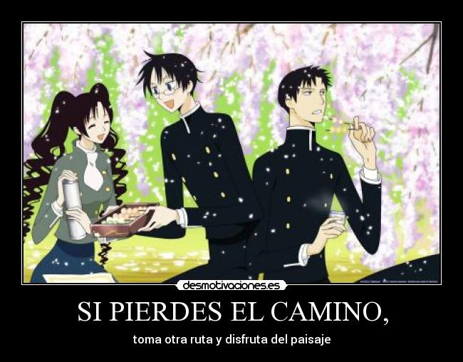 SI PIERDES EL CAMINO, -