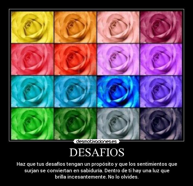 carteles desafio desmotivaciones