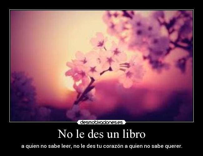 No le des un libro -