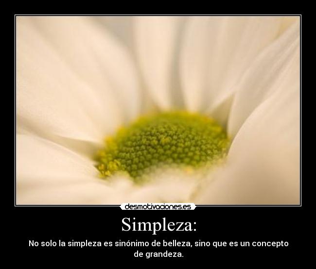 carteles thismoment desmotivaciones