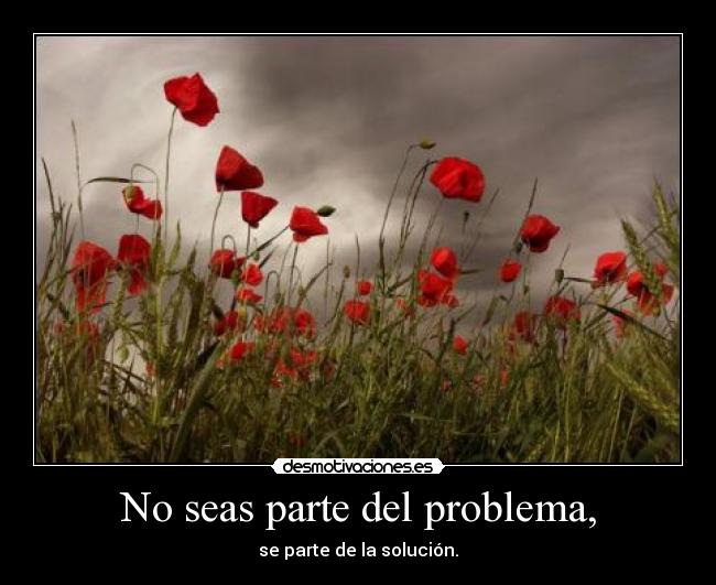 No seas parte del problema, -