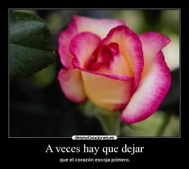 A veces hay que dejar - que el corazón escoja primero.
