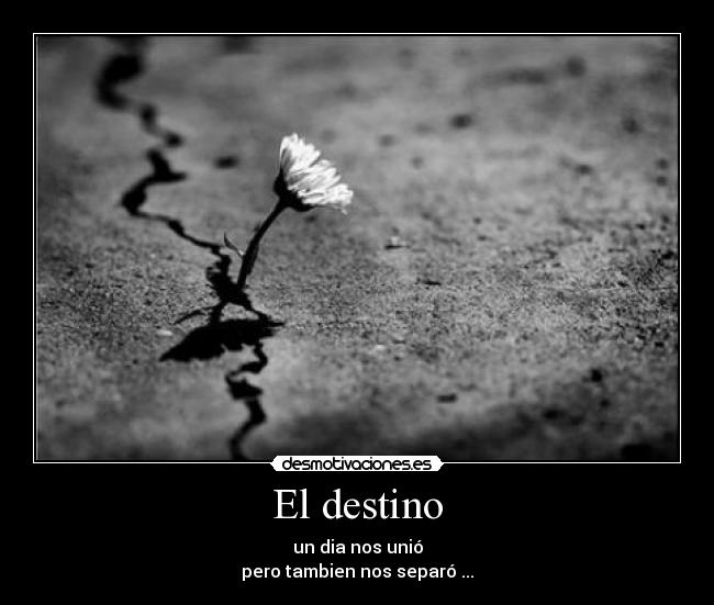 El destino - 