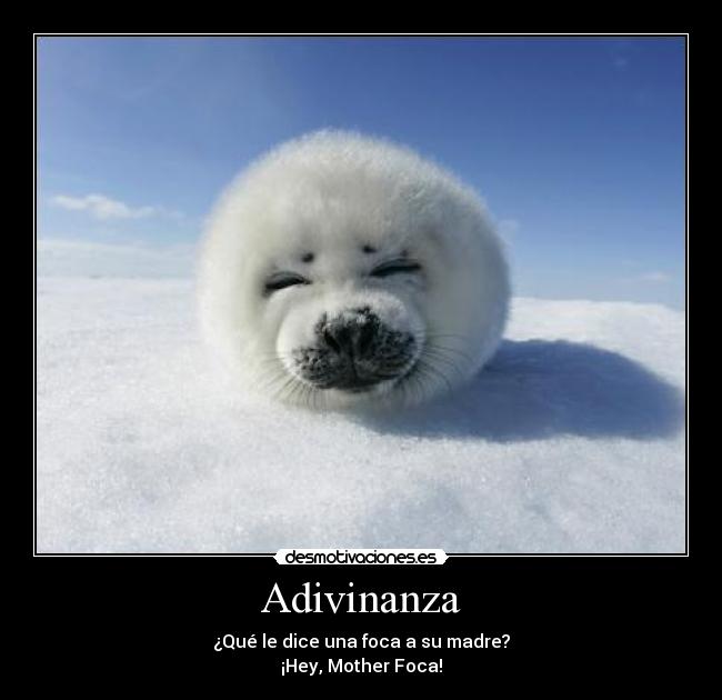 Adivinanza - ¿Qué le dice una foca a su madre?
¡Hey, Mother Foca!