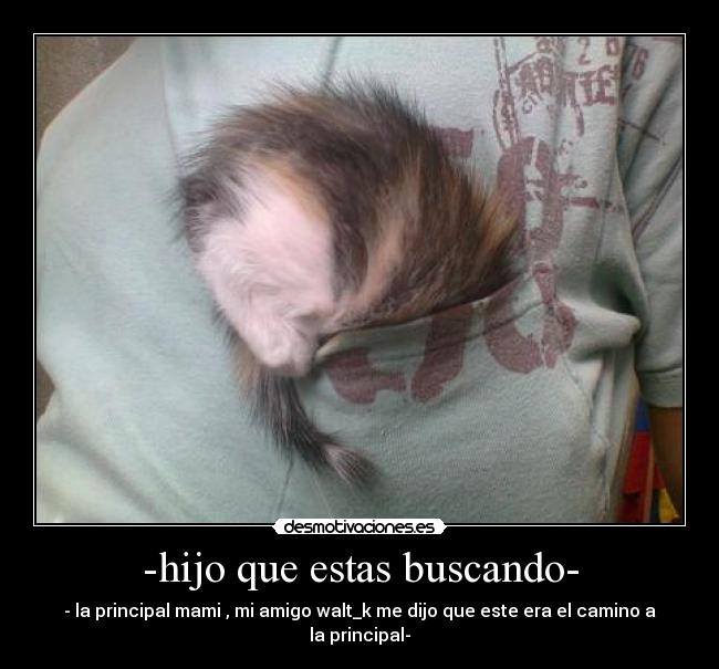 carteles principal desmotivaciones