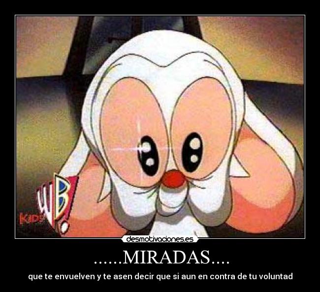 carteles marco vinicio vins desmotivaciones