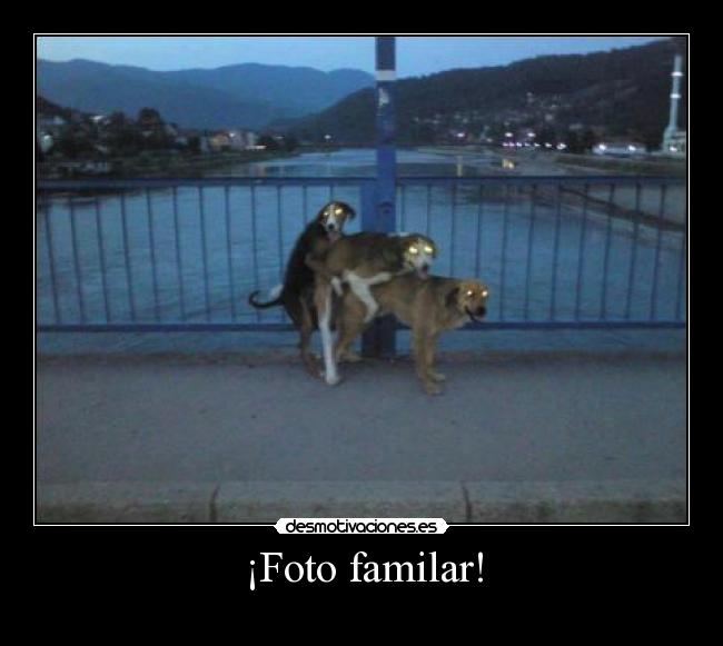 ¡Foto familar! - 