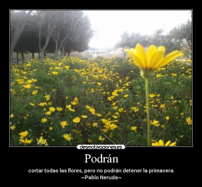Podrán - cortar todas las flores, pero no podrán detener la primavera.
~Pablo Neruda~