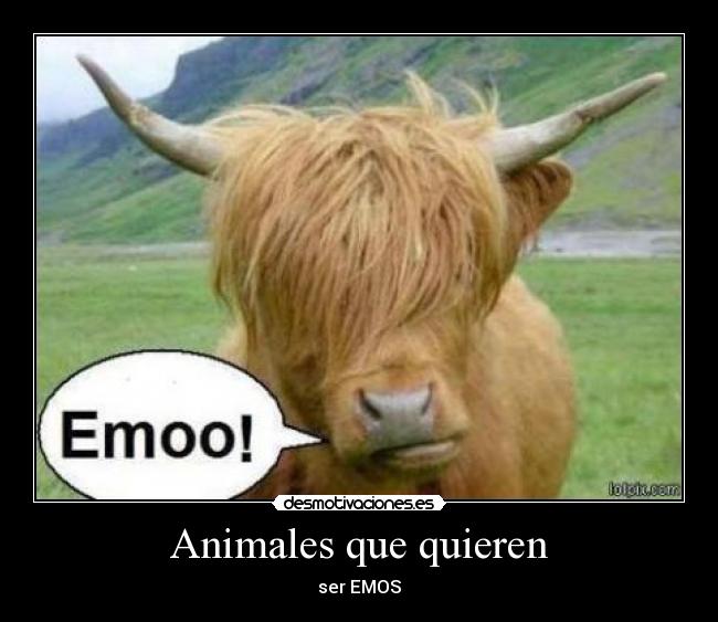 Animales que quieren -