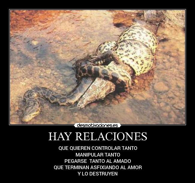 HAY RELACIONES - QUE QUIEREN CONTROLAR TANTO
MANIPULAR TANTO
PEGARSE TANTO AL AMADO
QUE TERMINAN ASFIXIANDO AL AMOR
Y LO DESTRUYEN