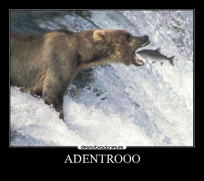 ADENTROOO - 