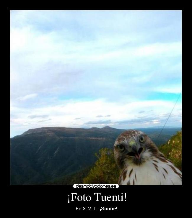 ¡Foto Tuenti! - En 3..2..1.. ¡Sonríe!
