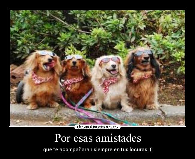 Por esas amistades - que te acompañaran siempre en tus locuras. (: