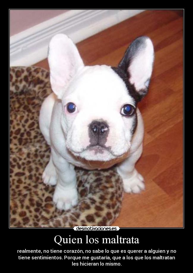 Quien los maltrata -