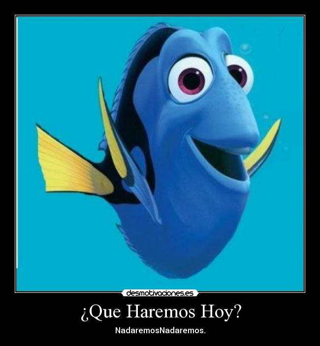 ¿Que Haremos Hoy? - NadaremosNadaremos.