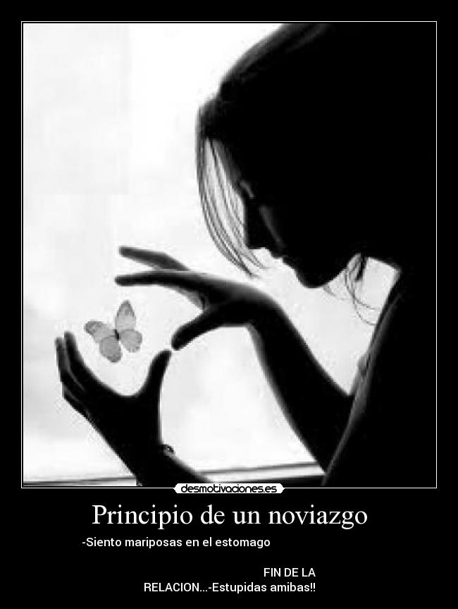 Principio de un noviazgo - -Siento mariposas en el estomago
FIN DE LA
RELACION...-Estupidas amibas!!