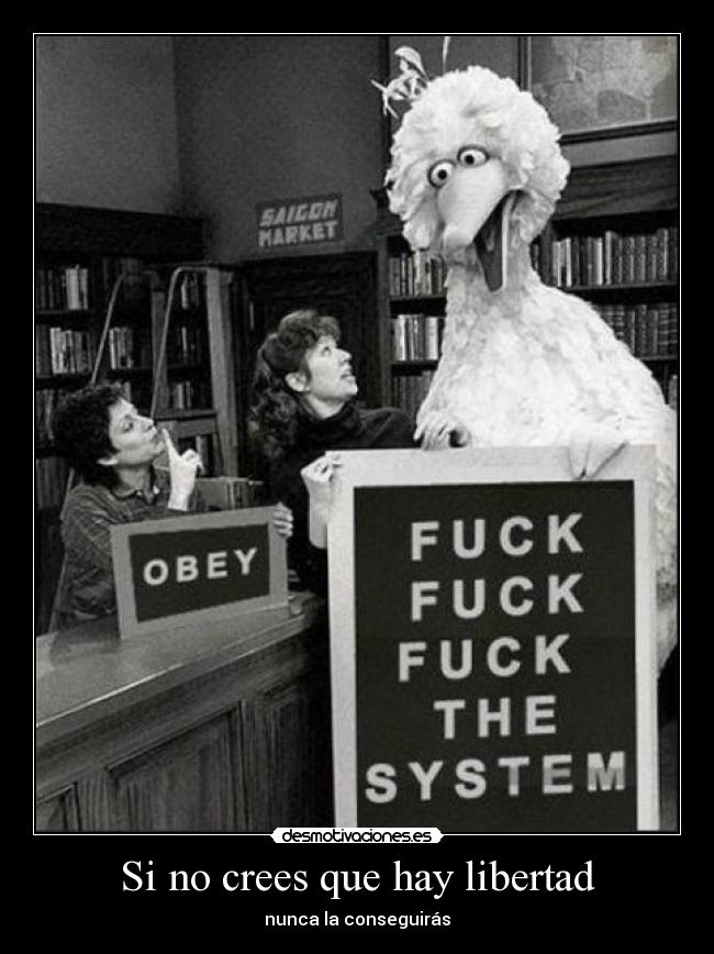 Si no crees que hay libertad -