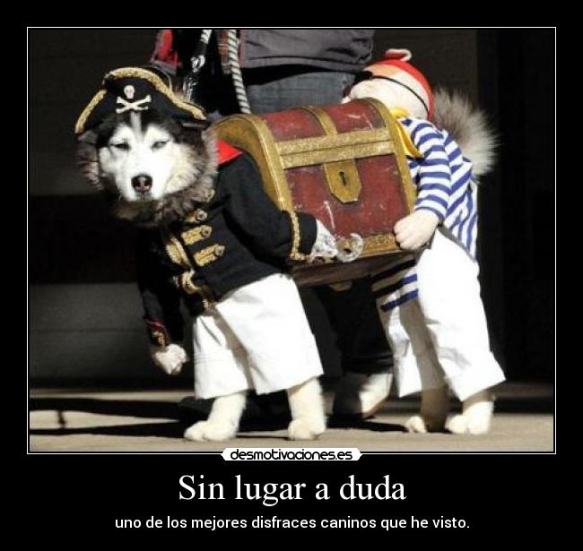carteles disfraz canino gibson2528 desmotivaciones