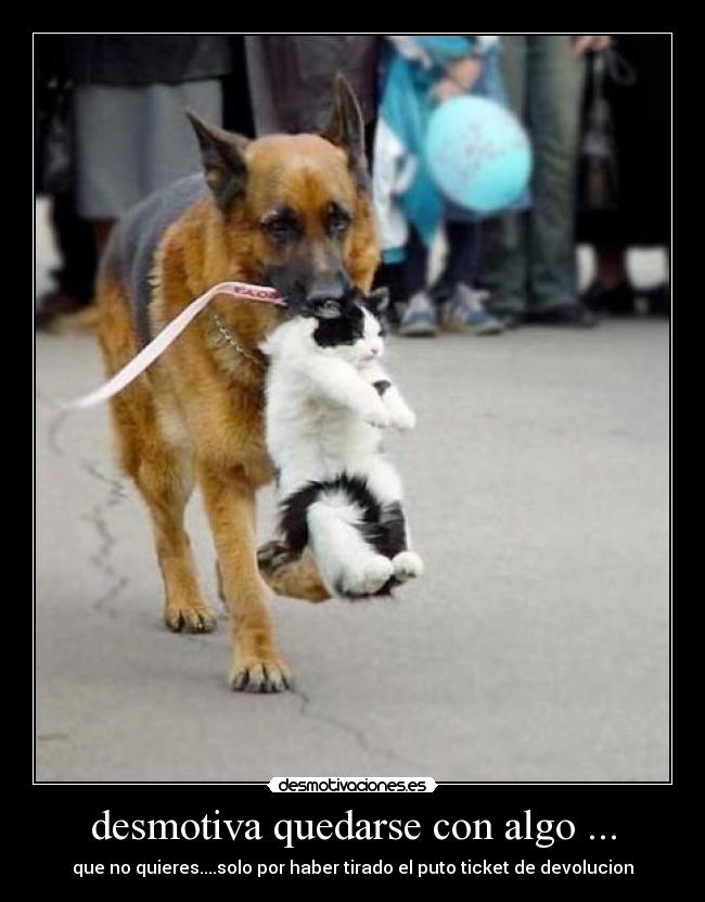 desmotiva quedarse con algo ... - 