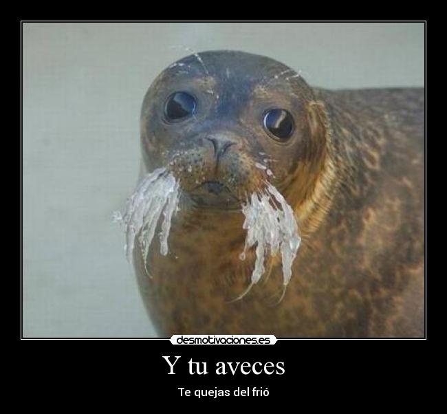 Y tu aveces - Te quejas del frió