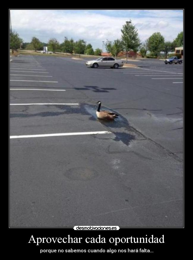 Aprovechar cada oportunidad -