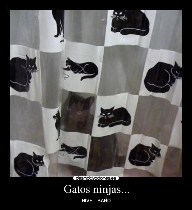 carteles gatos yuyu desmotivaciones