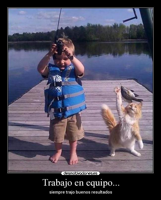 carteles trabajo fffd desmotivaciones