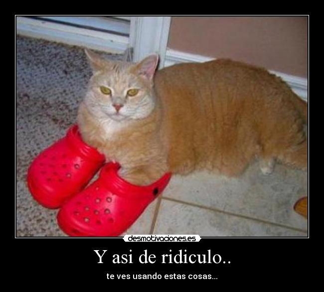 carteles dsd desmotivaciones