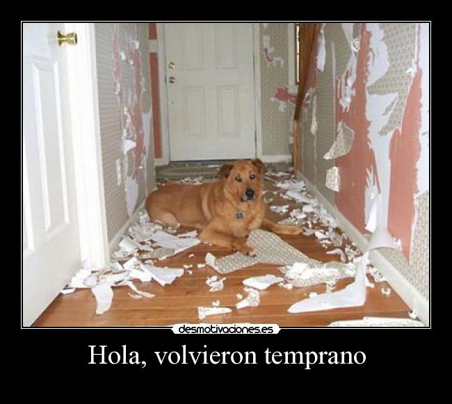 Hola, volvieron temprano -