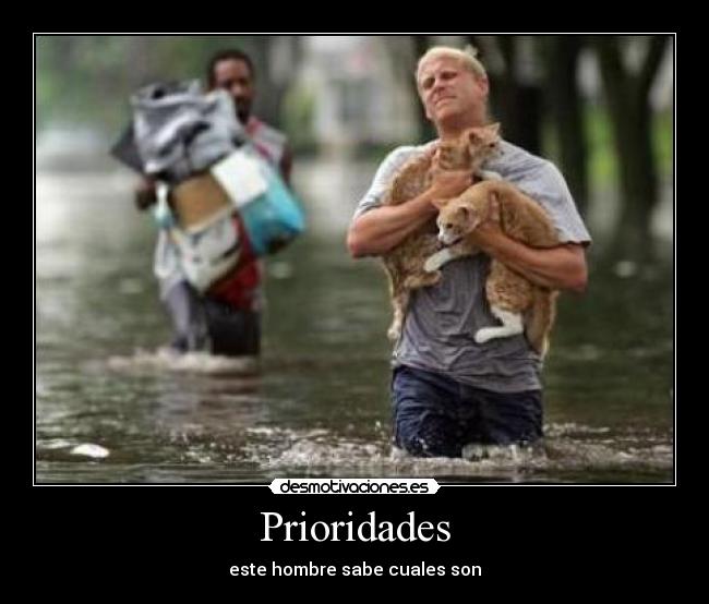 Prioridades - 