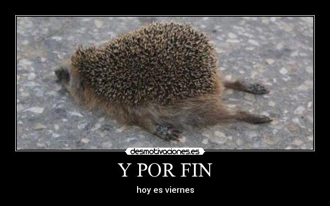 Y POR FIN - hoy es viernes