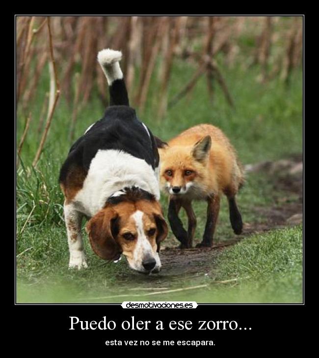 carteles fgdg desmotivaciones