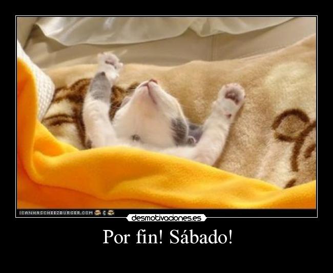 Por fin! Sábado! -
