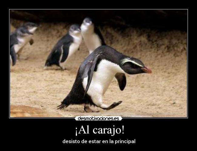 ¡Al carajo! - desisto de estar en la principal