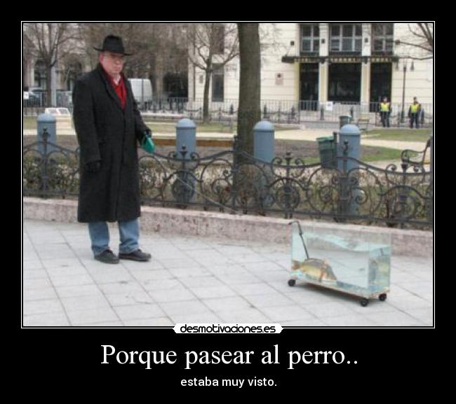 Porque pasear al perro.. - 