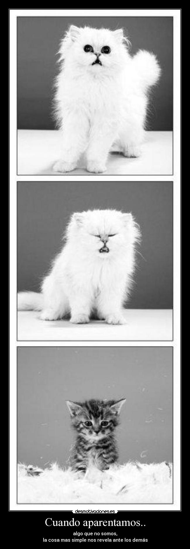 carteles fgfgf desmotivaciones