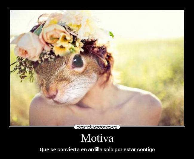 carteles las ardillas ladybeautiulll molan desmotivaciones