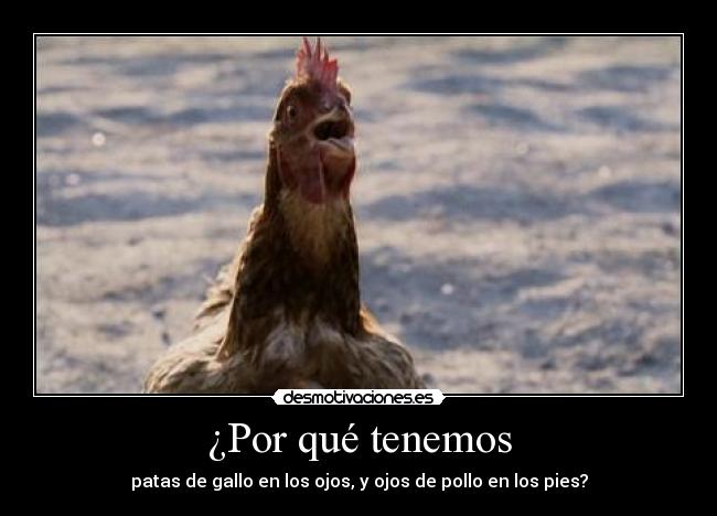 ¿Por qué tenemos - patas de gallo en los ojos, y ojos de pollo en los pies?