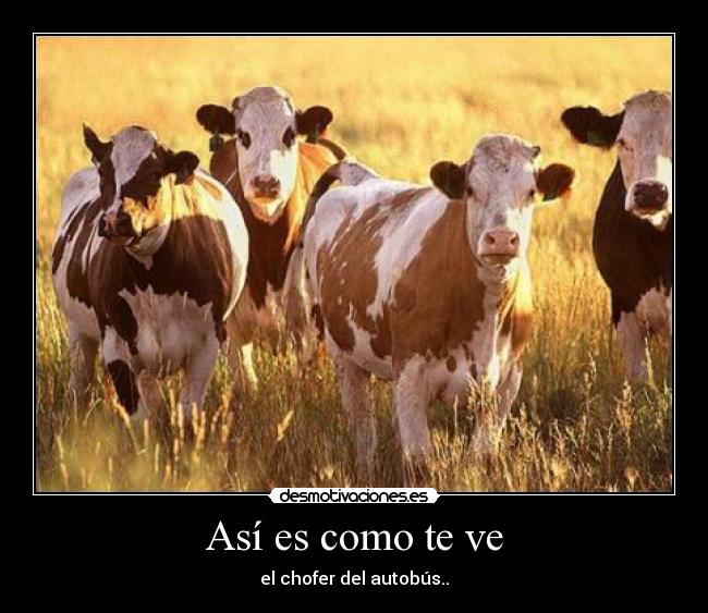 Así es como te ve - el chofer del autobús..