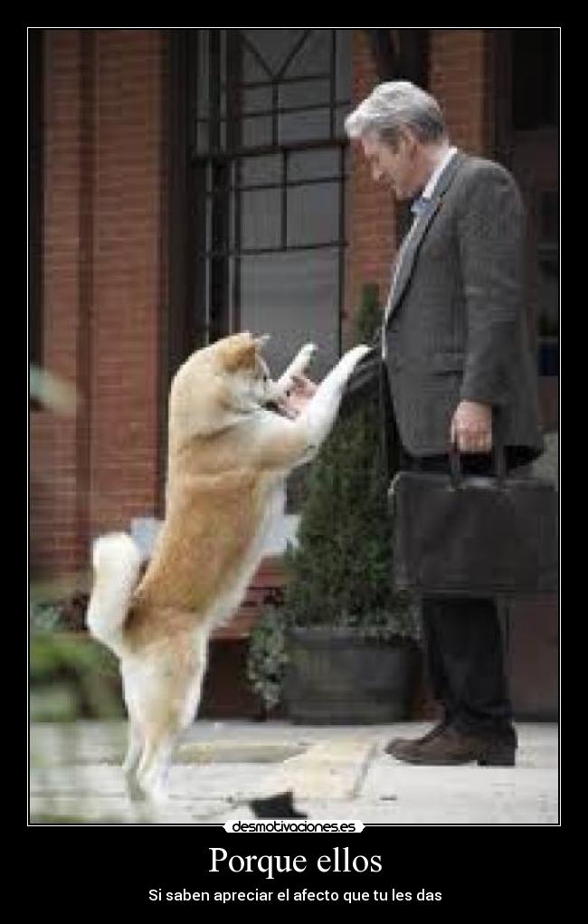 Porque ellos - Si saben apreciar el afecto que tu les das