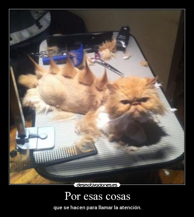 Por esas cosas - que se hacen para llamar la atención.