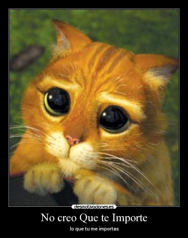 carteles nocreoqtimportloqmeimportas desmotivaciones