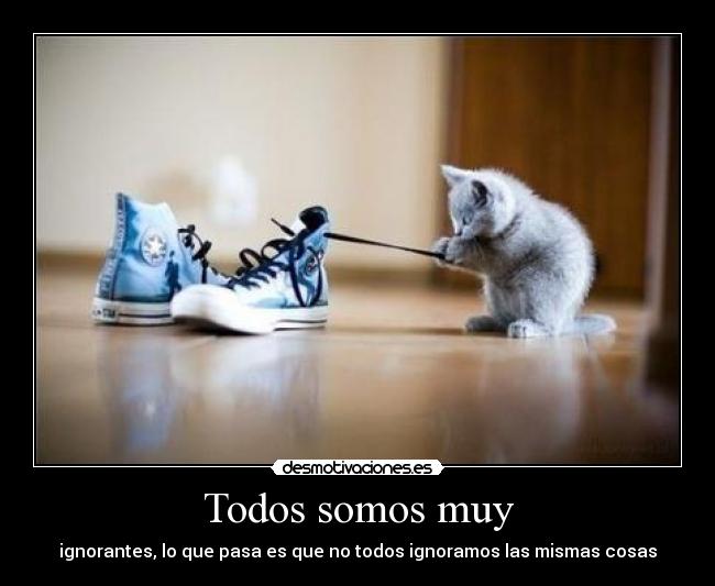Todos somos muy - ignorantes, lo que pasa es que no todos ignoramos las mismas cosas