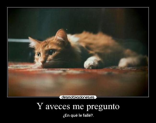 Y aveces me pregunto -