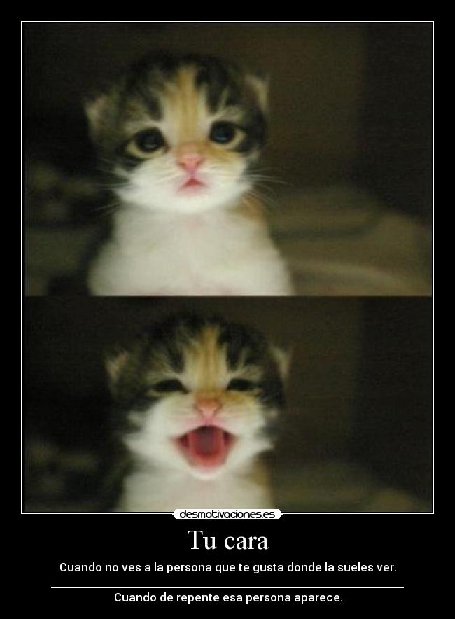 Tu cara - Cuando no ves a la persona que te gusta donde la sueles ver.
_______________________________________________________________
Cuando de repente esa persona aparece.
