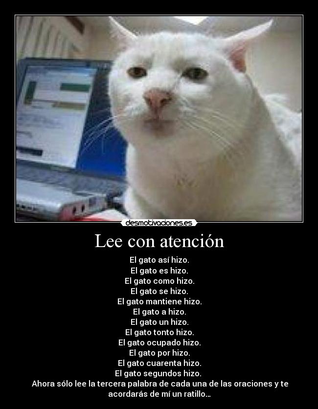 Lee con atención - El gato así hizo.
El gato es hizo.
El gato como hizo.
El gato se hizo.
El gato mantiene hizo.
El gato a hizo.
El gato un hizo.
El gato tonto hizo.
El gato ocupado hizo.
El gato por hizo.
El gato cuarenta hizo.
El gato segundos hizo. 
 Ahora sólo lee la tercera palabra de cada una de las oraciones y te
acordarás de mí un ratillo…