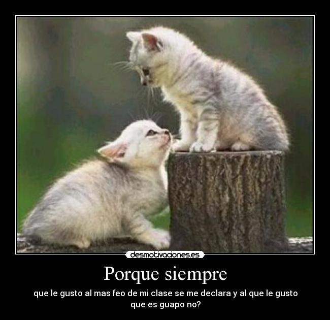 Porque siempre - que le gusto al mas feo de mi clase se me declara y al que le gusto que es guapo no?