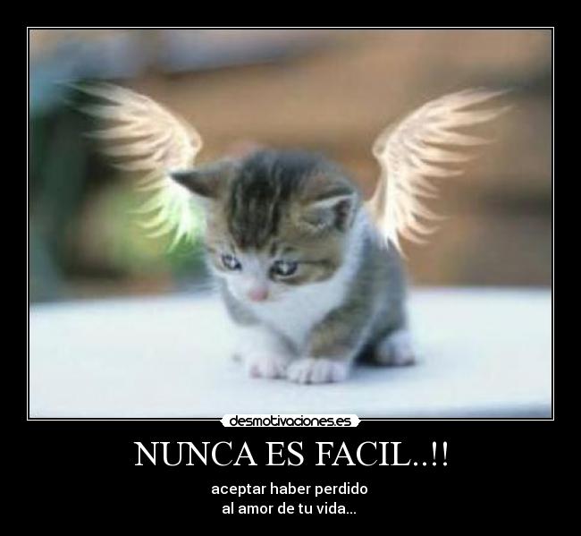 carteles bryan desmotivaciones