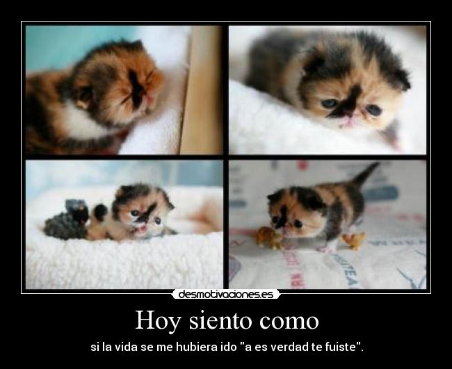 Hoy siento como - si la vida se me hubiera ido a es verdad te fuiste.